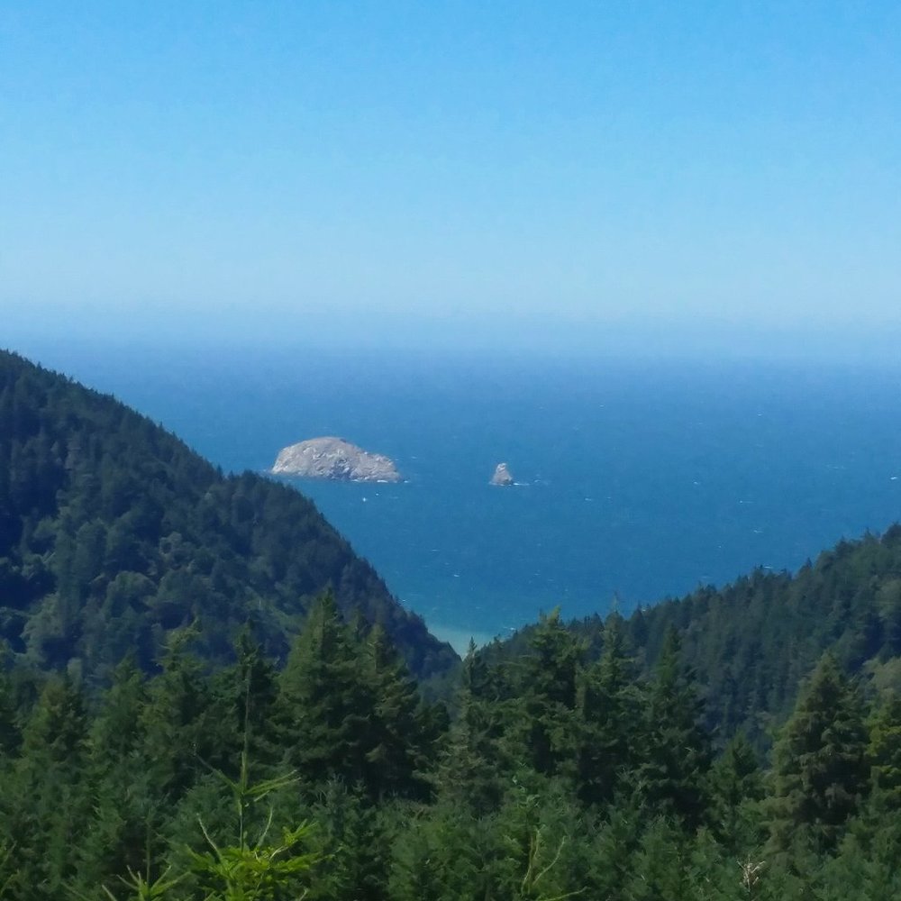 Meet your Posher, Jenifer